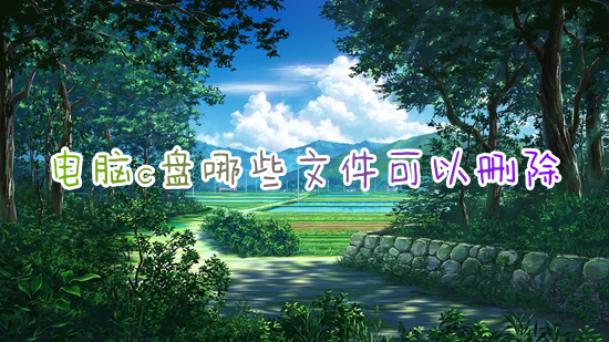 电脑c盘哪些文件可以删除(c盘爆红了可以删除哪些文件)