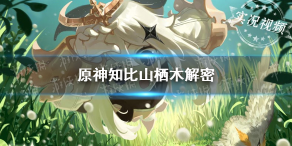 《原神》知比山解密通关技巧攻略(知比山解密图文教程)