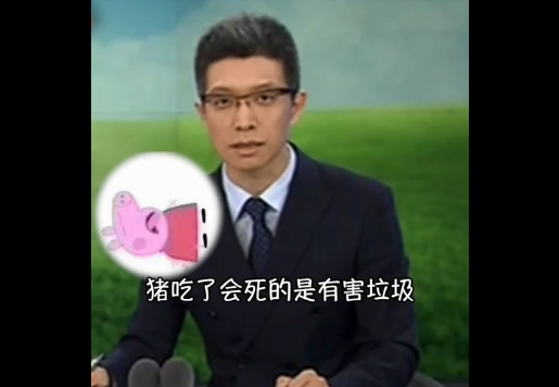 朱广权垃圾分类法(朱广权用猪教你分类垃圾)