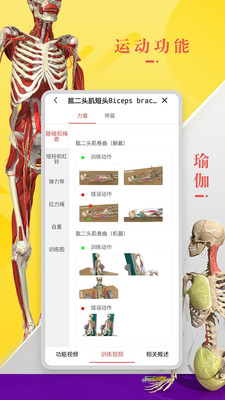 3Dbody解剖(3D人体模型)  官方版v8.6.02下载(3Dbody解剖软件下载)
