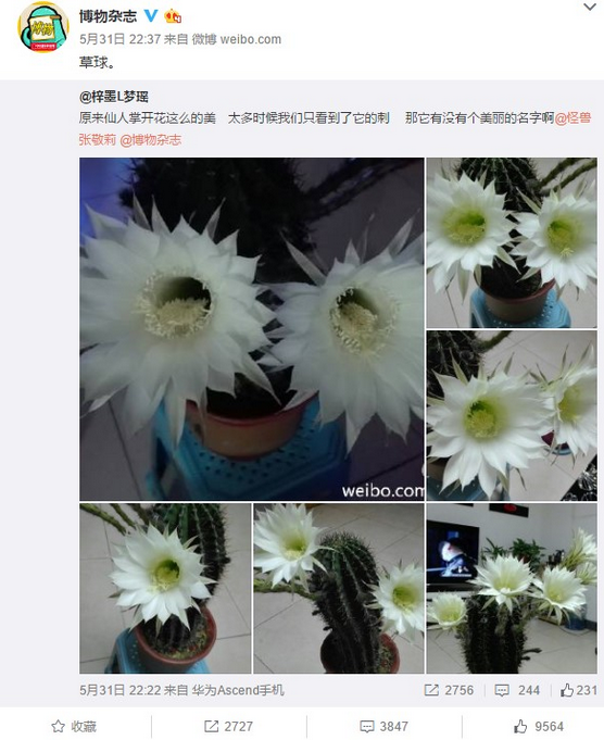 微软识花app下载