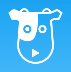 牛牛影视app v2023官方最新版下载(牛牛影视APP下载免费版)
