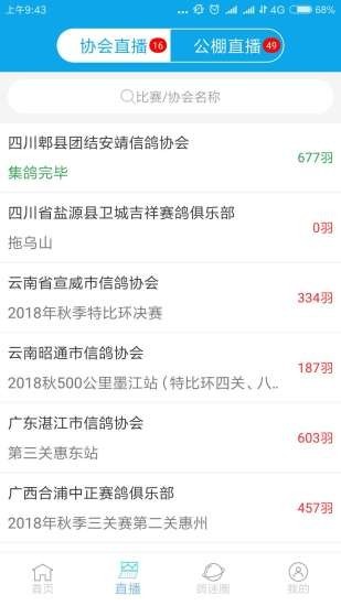 中鸽网 