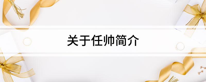 关于任帅简介