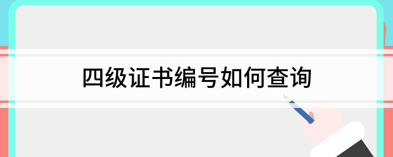 四级证书编号怎么查询?