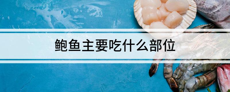 鲍鱼主要吃什么部位?