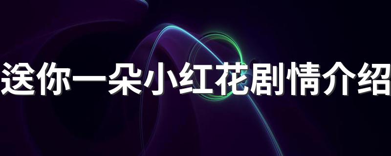 送你一朵小红花剧情简介_送你一朵小红花剧情介绍