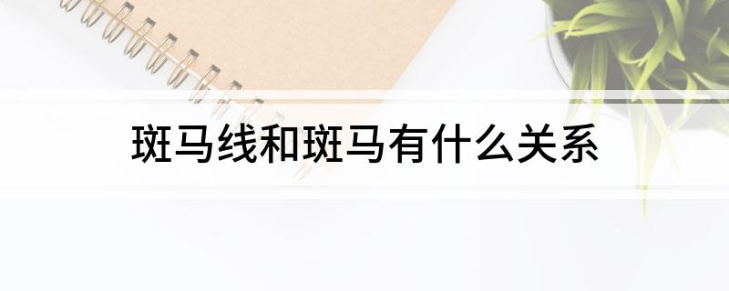 斑马线和斑马有什么关系?