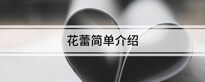花蕾简单介绍