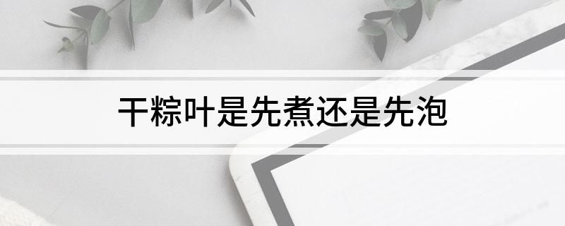 干粽叶是先煮还是先泡