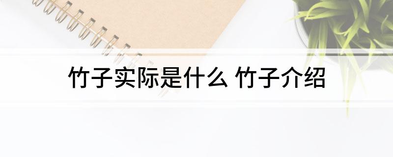 竹子实际是什么(竹子介绍)?