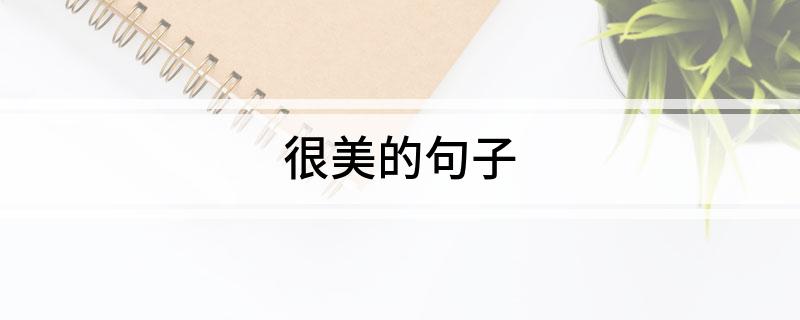 很美的句子