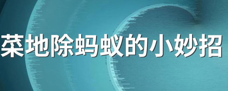 这三种方法在野外也可除蚁_菜地除蚂蚁的小妙招