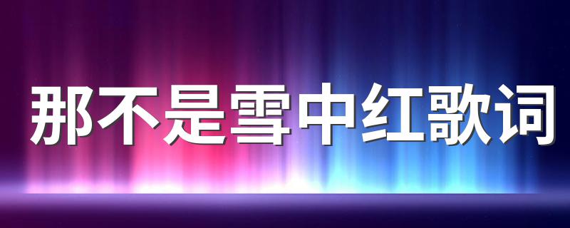 那不是雪中红歌歌词介绍_那不是雪中红歌词