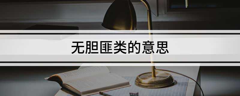 无胆匪类的意思