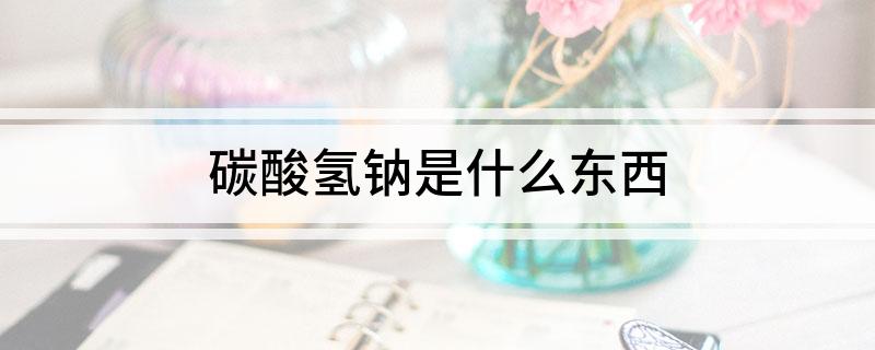 碳酸氢钠是什么东西?