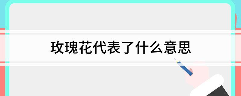 玫瑰花代表了什么意思?