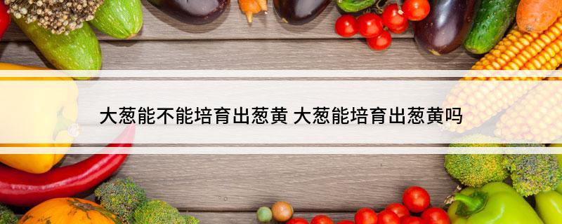 大葱能不能培育出葱黄(大葱能培育出葱黄吗?)