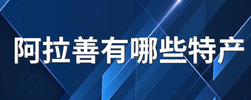 阿拉善有什么特产_阿拉善有哪些特产?