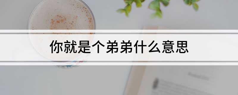 你就是个弟弟什么意思?