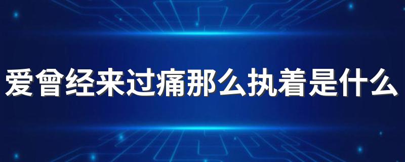 爱曾经来过的出处_爱曾经来过痛那么执着是什么歌