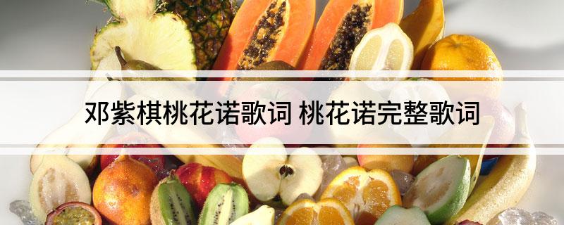 邓紫棋桃花诺歌词(桃花诺完整歌词)