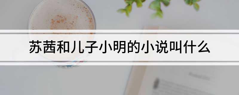 苏茜和儿子小明的小说叫什么?
