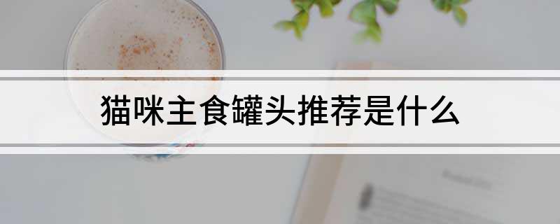 猫咪主食罐头推荐是什么?