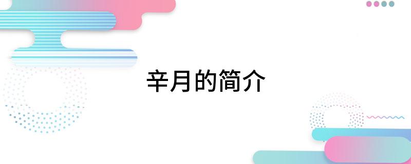 辛月的简介