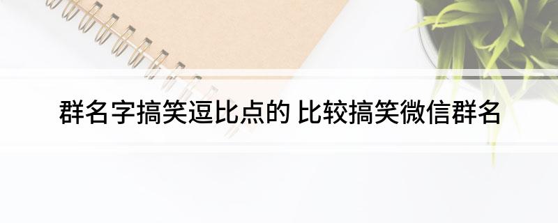 群名字搞笑逗比点的