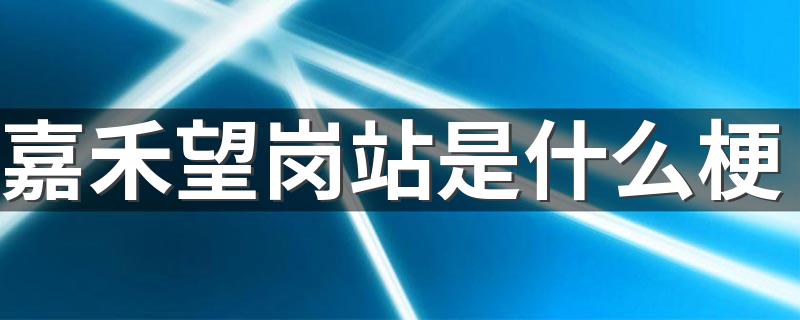 嘉禾望岗站的意思_嘉禾望岗站是什么梗?