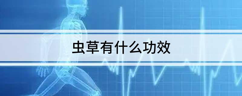虫草有什么功效?