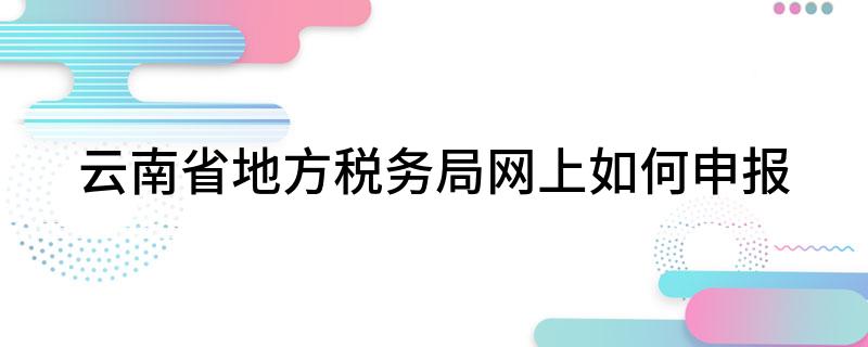 云南省地方税务局网上怎么申报?