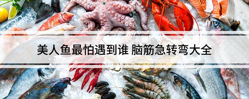 美人鱼最怕遇到谁(脑筋急转弯大全)