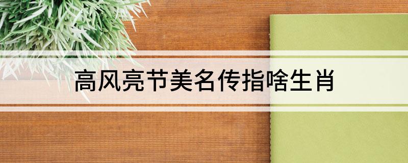 高风亮节美名传指啥生肖