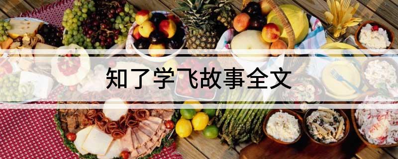 知了学飞故事全文