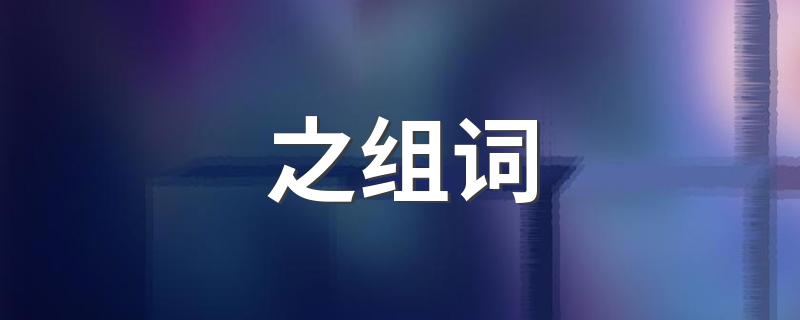 之字能组啥词_之组词