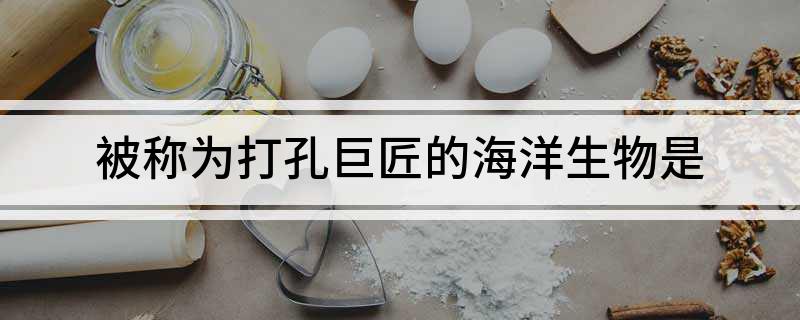 被称为打孔巨匠的海洋生物是