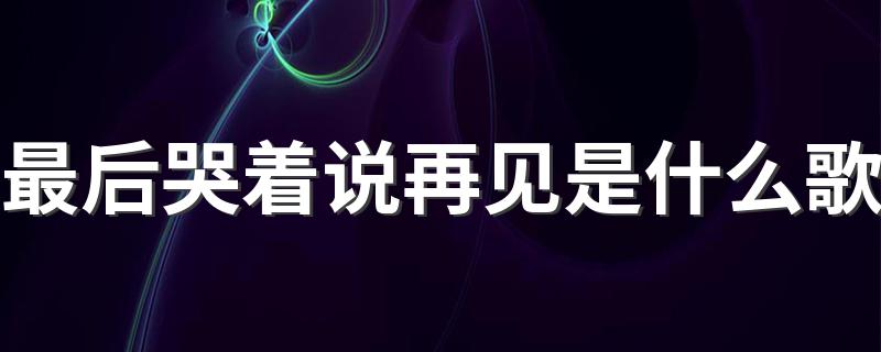 最后哭着说再见完整歌词_最后哭着说再见是什么歌