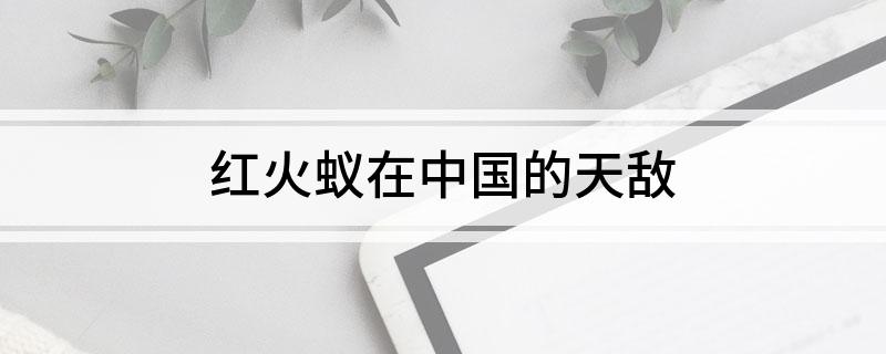 红火蚁在中国的天敌