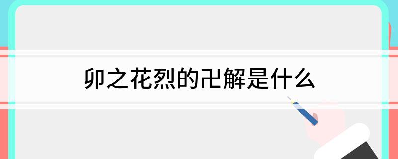 卯之花烈的卍解是什么?