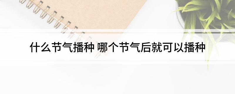 什么节气播种(哪个节气后就可以播种)?