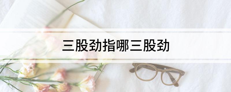 三股劲指哪三股劲