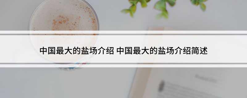 中国最大的盐场介绍(中国最大的盐场介绍简述)