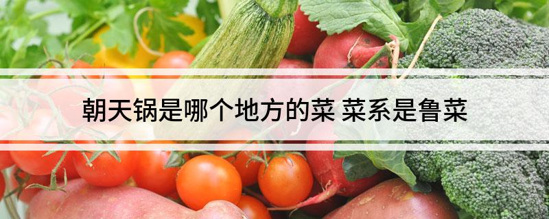朝天锅是哪个地方的菜(菜系是鲁菜)