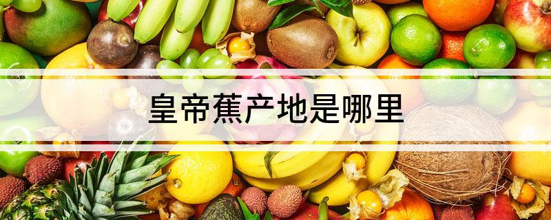 皇帝蕉产地是哪里
