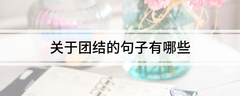 关于团结的句子有哪些