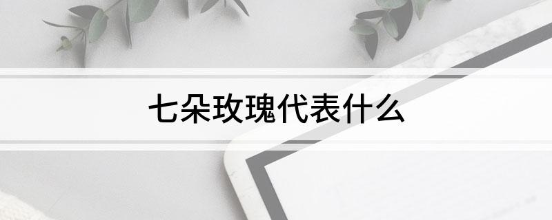 七朵玫瑰代表什么?