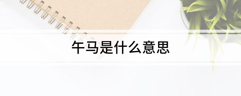 午马是什么意思?