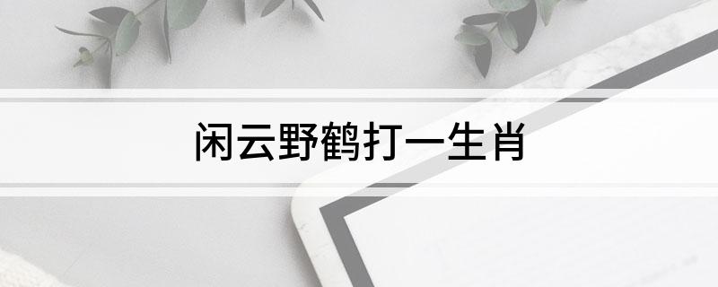 闲云野鹤打一生肖